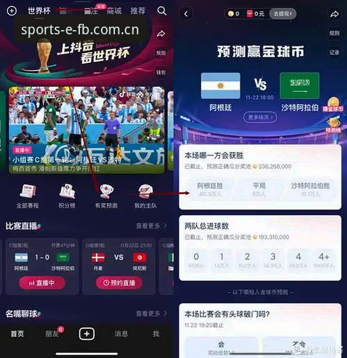 揭秘FB体育官方入口：新手如何一站式开启竞猜之旅